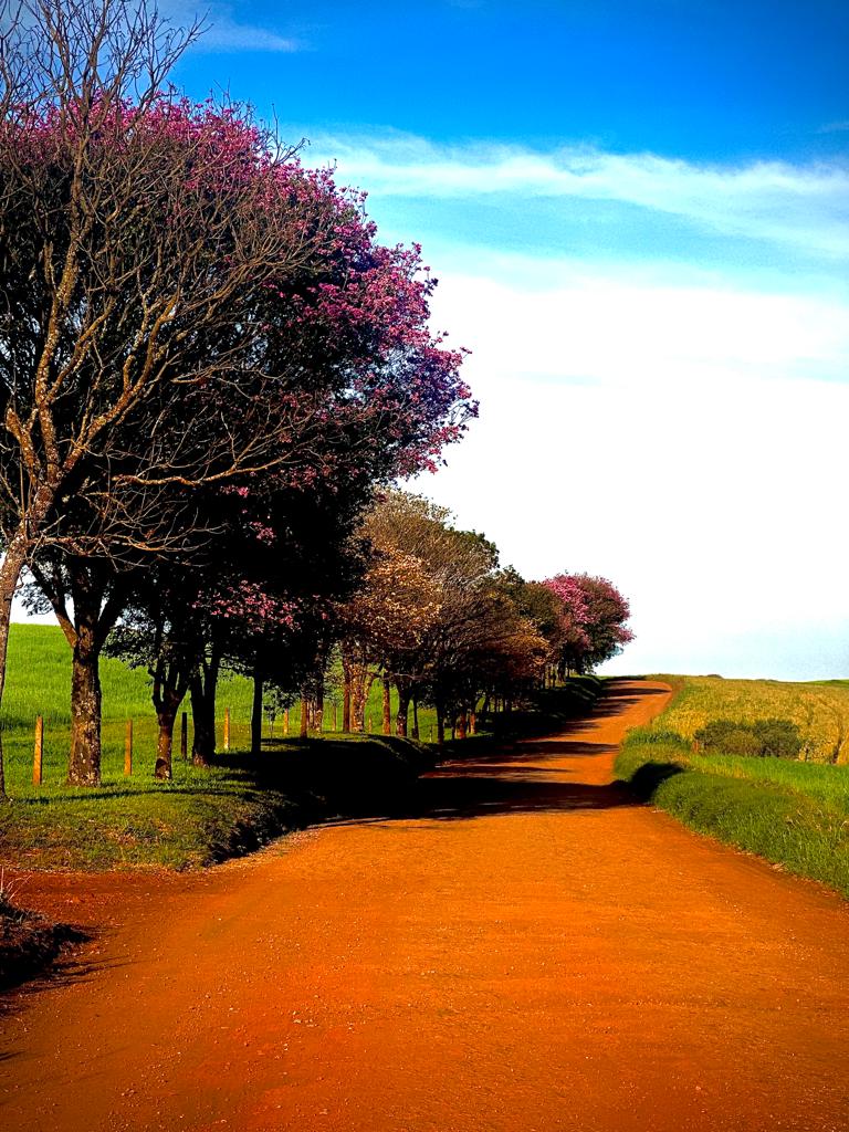 Tourist attraction 3